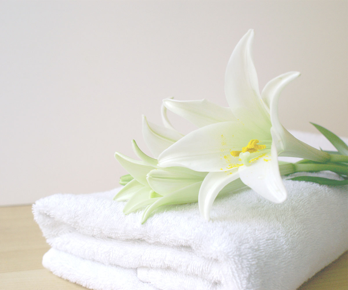Details about   Case of 60 Cotton Bath Towels White Bathroom Wholesale 24x48 Cam Border 